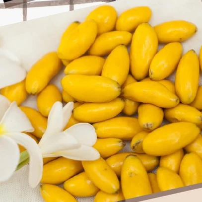 Raisins (Kishmish) Mango Chocodip from AMRG Khari Baoli Wale