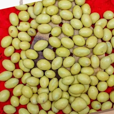 Pista Kulfi from AMRG Khari Baoli Wale
